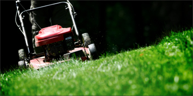 lawn mowing